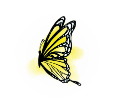 Schmetterling