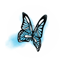 Schmetterling